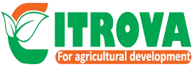 citrovagreenLOGO-by-lenkaate
